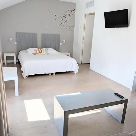 Nid De Lourdes Climatise Proche Sanctuaires 4 Pers *