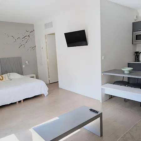 Apartman Nid De Lourdes Climatise Proche Sanctuaires 4 Pers *