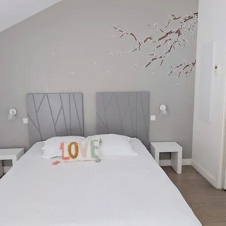 Nid De Lourdes Climatise Proche Sanctuaires 4 Pers Apartman Lourdes