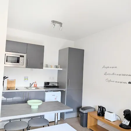 Nid De Lourdes Climatise Proche Sanctuaires 4 Pers Apartman Lourdes